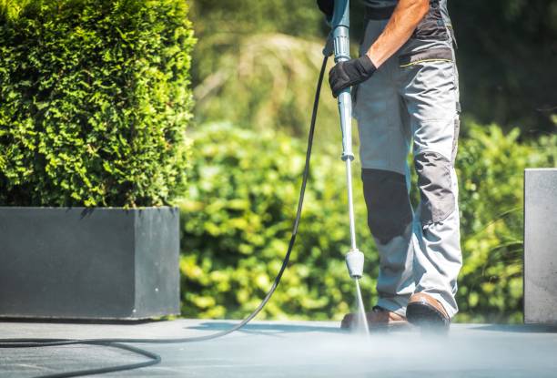 Reliable Elkton, KY Pressure Washing Services Solutions